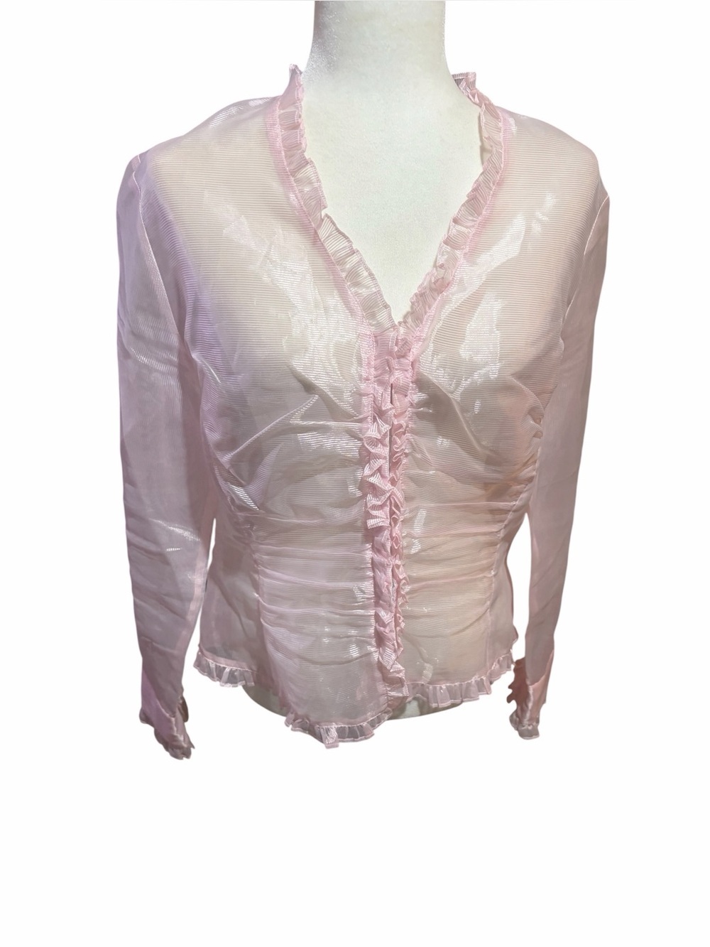 Bianca Nygard Sheer Pink Ruffle-Trim Blouse vintage-style-Size 14 NWOT